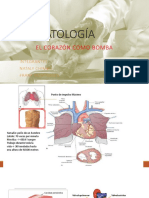 Fisiopato Corazon