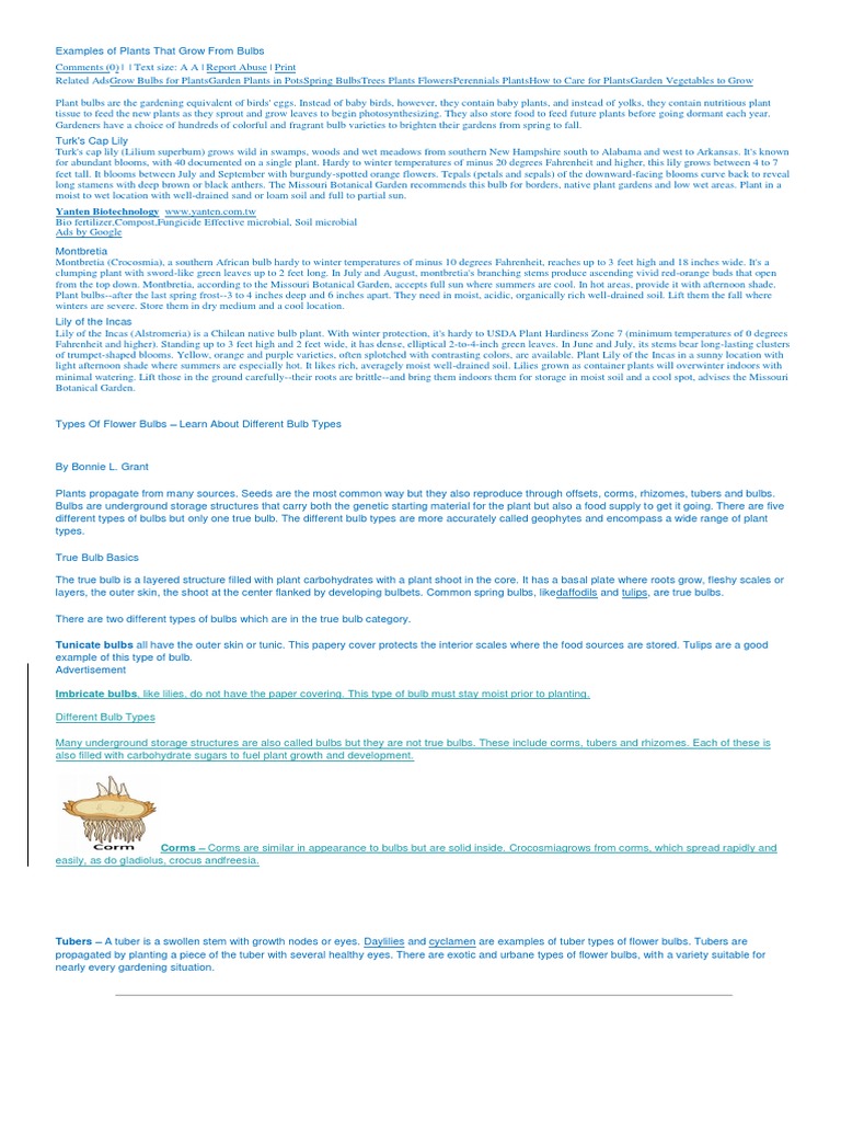 Examples of Plants That Grow From Bulbs Lzel Tubers Runners Download Free PDF Bulb