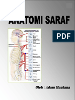 Anatomi Saraf - Adam Maulana
