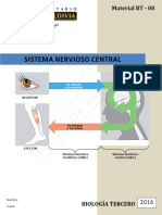 Sistema Nervioso Central WEB