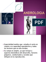 ANDROLOGIA Presentacionnnnn