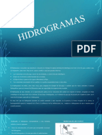 HIDROGRAMAS-EXPOSICION