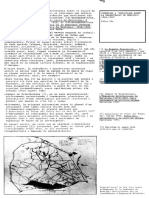 Comentari A Precisions Sobre La Urbanització de Montjuic, 1859-1929 PDF