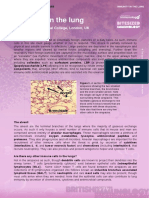 Immunity in the Lung (2)