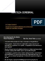 La corteza cerebral y sus funciones