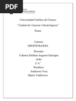 Universidad Católica de Cuenca Inf