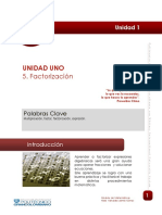 Lectura_FACTORIZACION.pdf