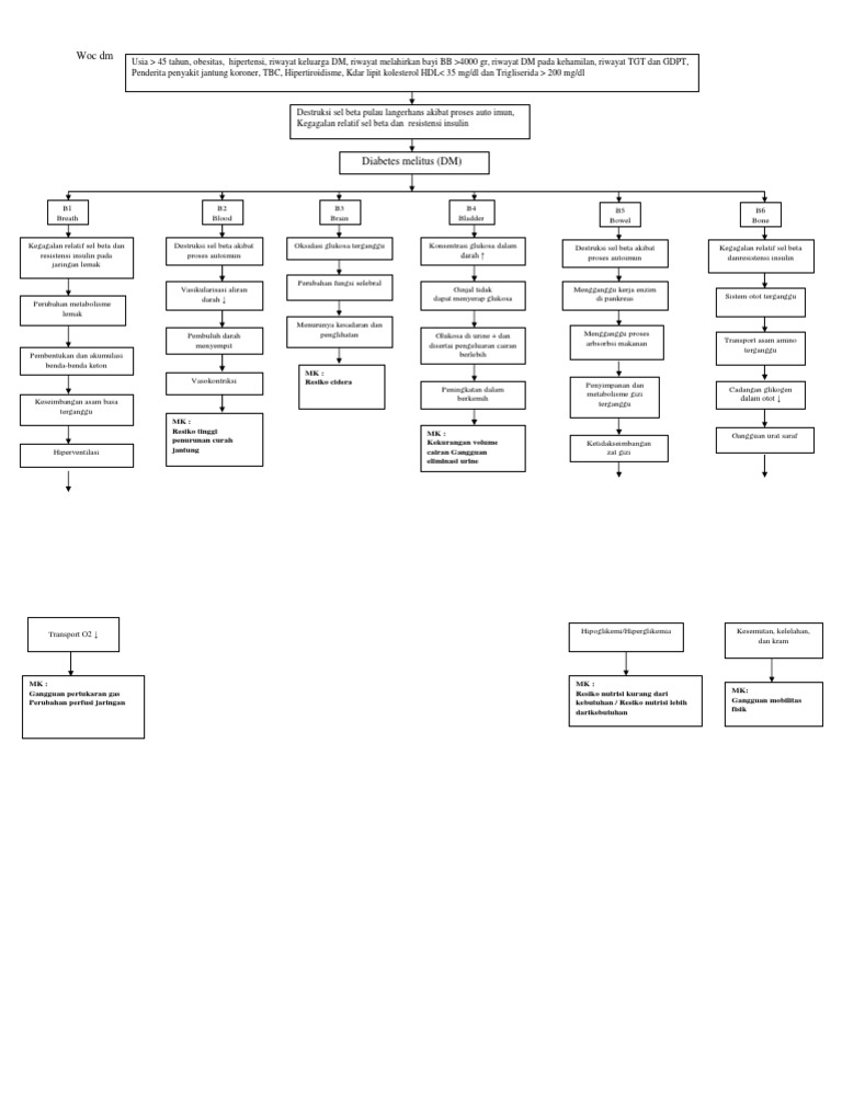 Pathway Diabetes Melitus dan Komplikasinya | PDF