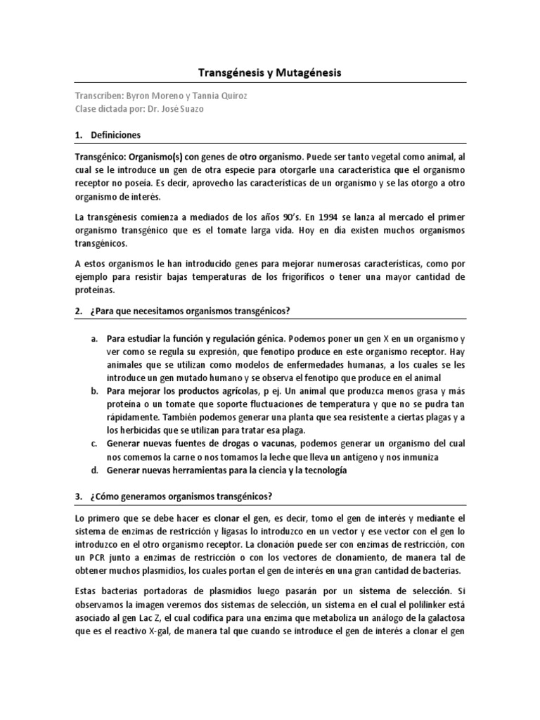 Essay on transgenesis image