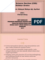 CSS stricture urethra dr. Aji.pptx