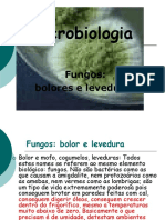 Fungos Bolores e Leveduras