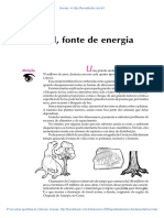 31 Sol Fonte de Energia