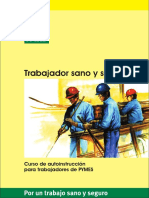 trabajador-sano-y-seguro.pdf