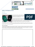 Auditors Turtle Diagrams and Waste PDF