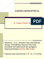 Glaukoma Kongenital: Dr. Anang Tribowo, SPM