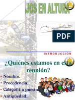 Introduccion,Trabajos Altura