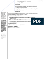 Coverings and Blood Supply (Título de La Barra Late-Ral)