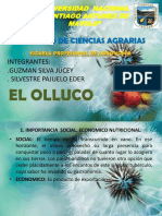 El olluco: importancia social, económica y nutricional