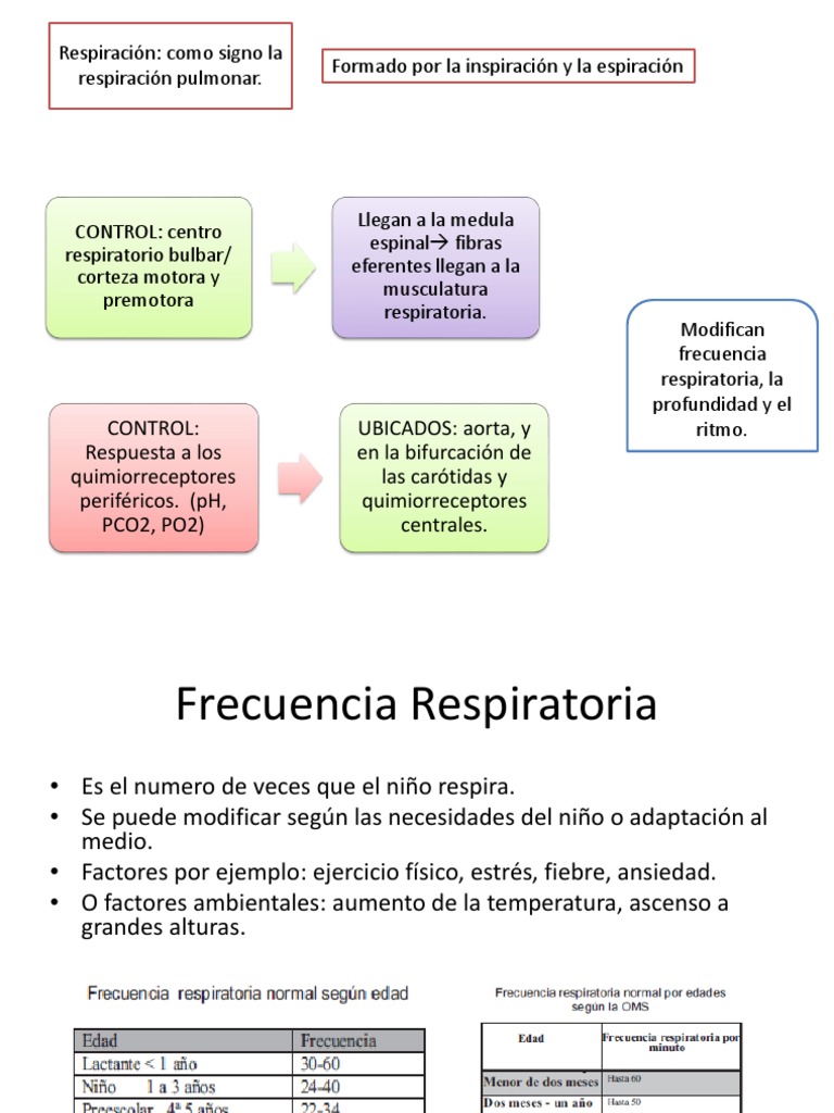 frecuencia respiratoria Apnea Sistema respiratorio