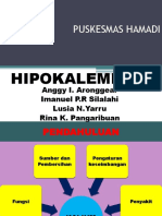Presentation1kelompok IKM