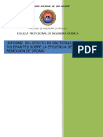 EFECTO DE BACTERIAS TOLERANTES SOBRE LA EFICIENCIA DE REMOCIÓN DE CROMO