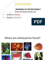Anthocyanin Power Point
