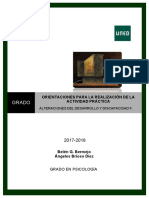 Orientaciones_para_la_realizacio´n_de_la_Actividad_Pra´ctica_.pdf