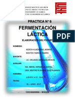 PRACTICA N° 6 FERMENTACION LACTICA