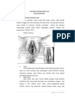 POST PARTUM ANATOMY