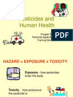 Pesticide Exposure Routes and Toxicity Risk Factors