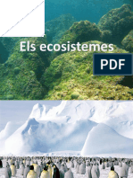 Els ecosistemes.pptx