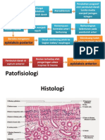 Patofisiologi Dan Histologi Kasus 2