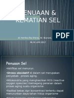 PPT Kul Penuaan Dan Kematian Sel - Shinta17