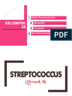 MIKROBIOLOGI (Streptococcus SP)