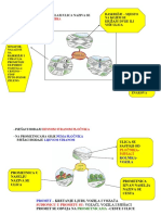 Promet Prvi Razred