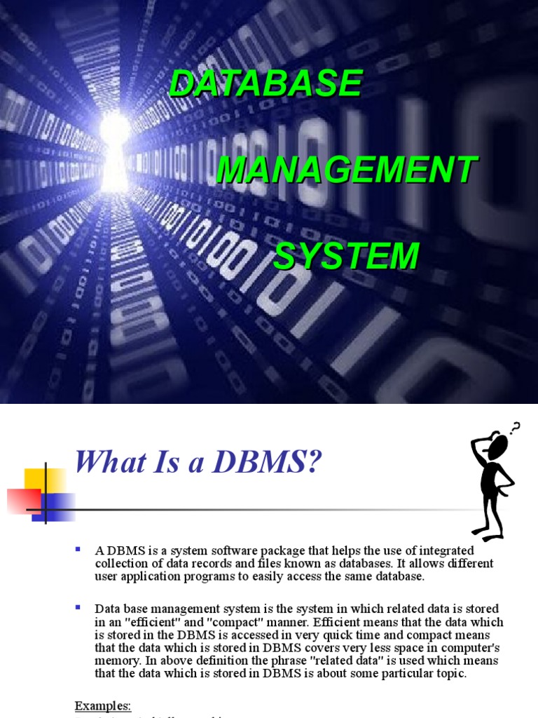 Database Management System | PDF | Databases | Computer File