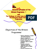 The Fundamental Principles of The Mitanin Programme and