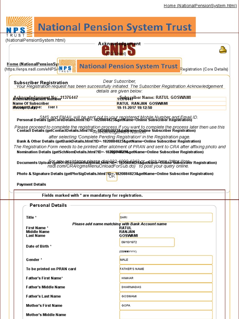 ENPS National Pension System Cyberspace Government And Personhood