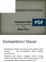 Sistem Ekskresi Manusia 