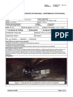 Flash Report NV.pdf
