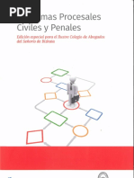 Esquemas Procesales Civiles y Penales PDF | PDF