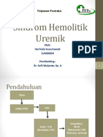 Sindrom Hemolitik Uremik