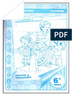 Sistema Nervioso PDF