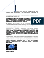 Durante Siglos Se Nos Ha Enseñado Que La Gran Diferencia Entre El Ser Humano y Las Demás Especies Vivientes Es La