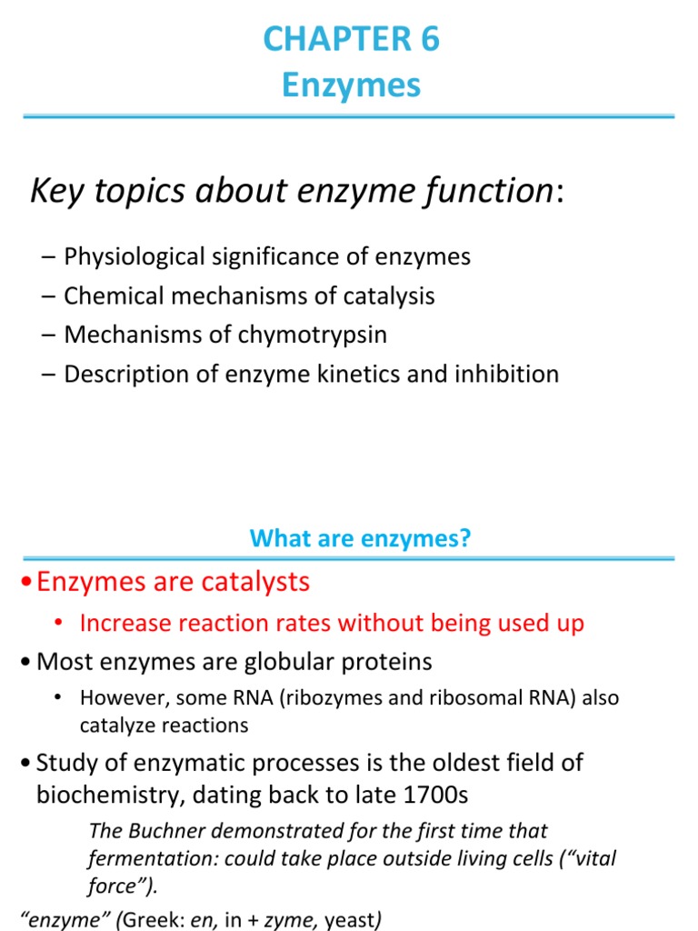 P450 enzyme inhibitors image