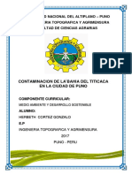 Contaminación Bahía Titicaca Puno