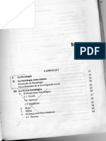 Introducción A La Sociología PDF