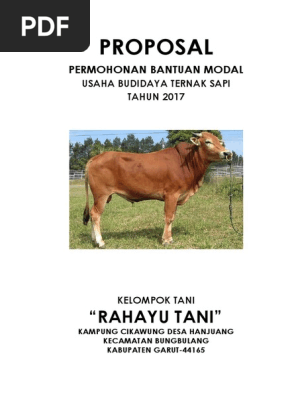Proposal Sapi