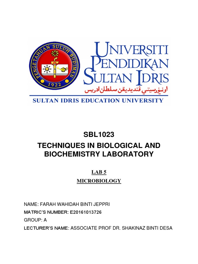 Microbiology Lab Report: Techniques & Results | PDF | Bacteria ...