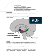 Sistema Limbic o